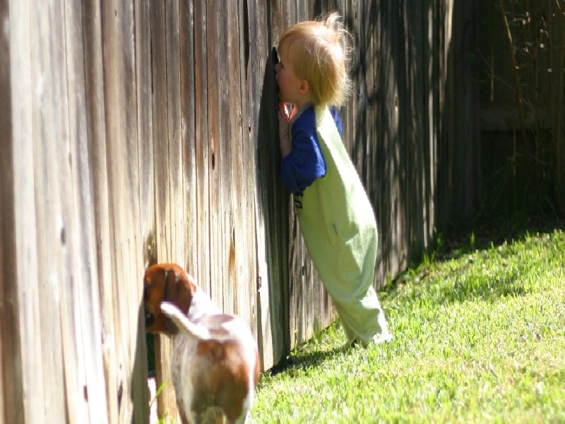 李先生夫妇成功案例